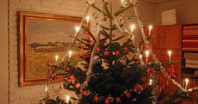 Weihnachten Dänemark