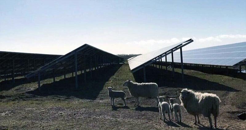 Solarpark Dänemark