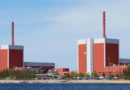 Finnland: Kernkraftwerk „schluckt“ jährlich über 40 Tonnen Fisch