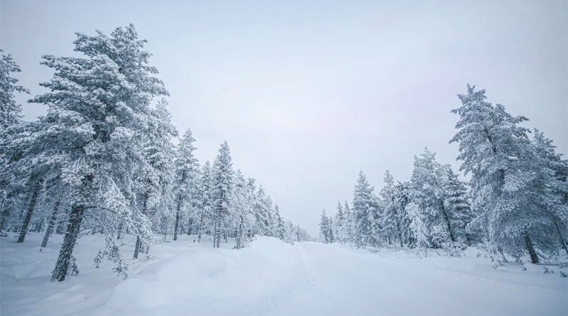 Kälterekord Finnland