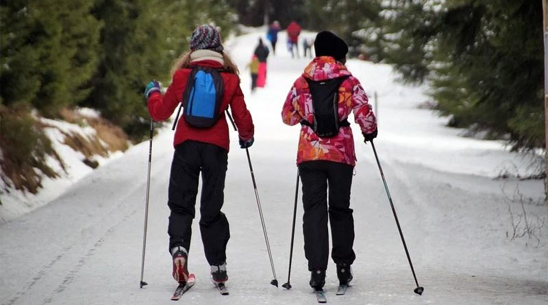 Skilanglauf Estland Ozepää