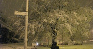 Thundersnow Edinburgh