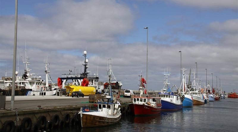 Fischerei Schottland Brexit