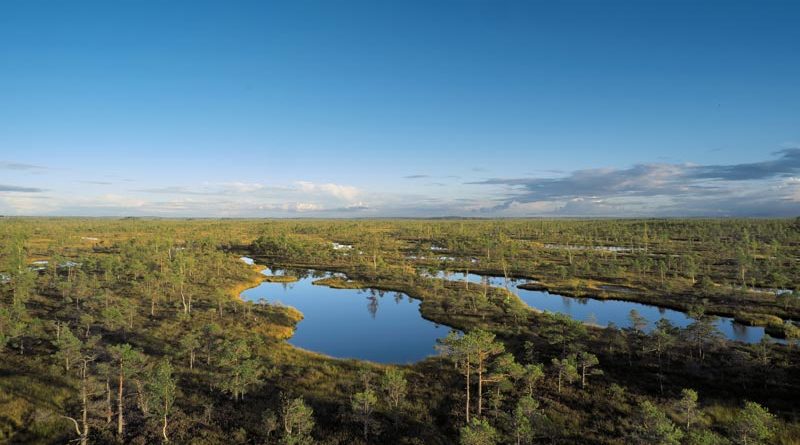 Ķemeri Nationalpark Lettland