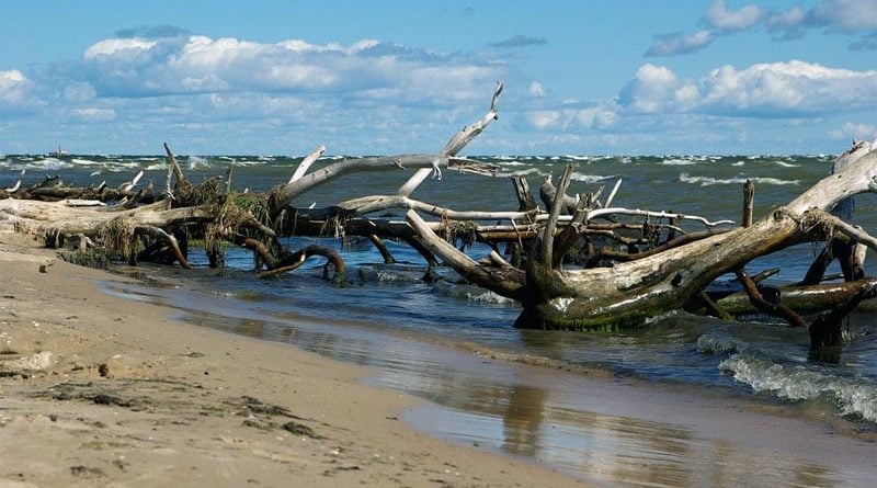 Kap Kolka Lettland Reisebericht