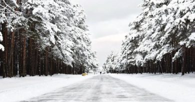 Litauen Winter Corona