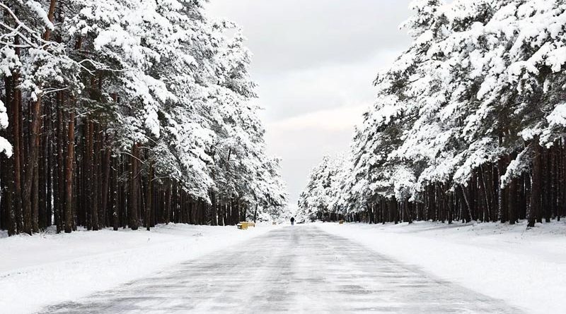 Litauen Winter Corona