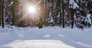 Wetter Winter Lettland