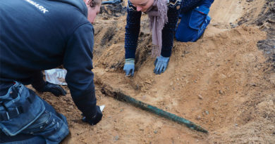 Fünen Archäologie Schwert