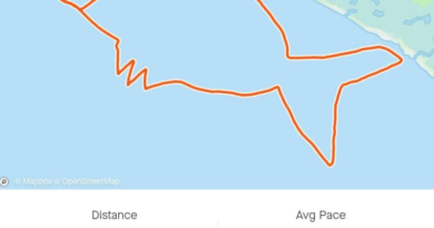 10 km großer Fisch in Pärnu