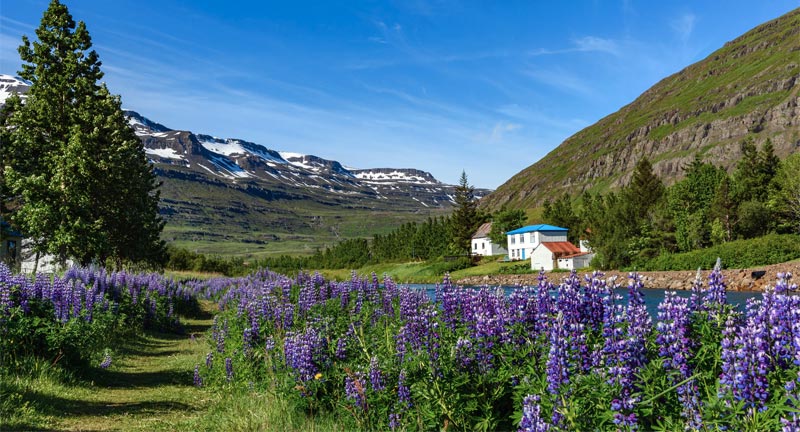 Island Klimawandel Wärmerekord