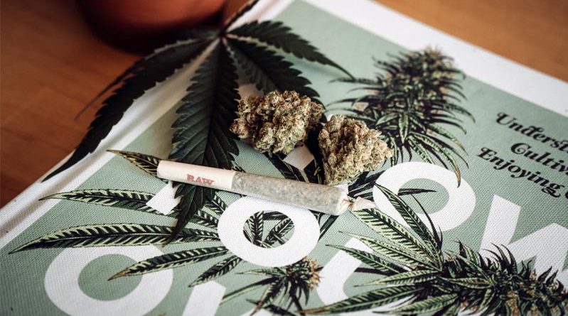 Medizinisches Cannabis Legalisierung