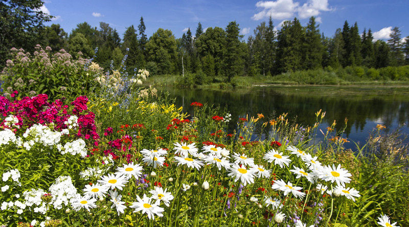 Estland im Sommer