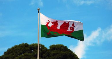 Wales Flagge