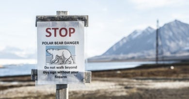 warnung eisbaer spitzbergen