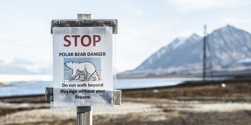 warnung eisbaer spitzbergen