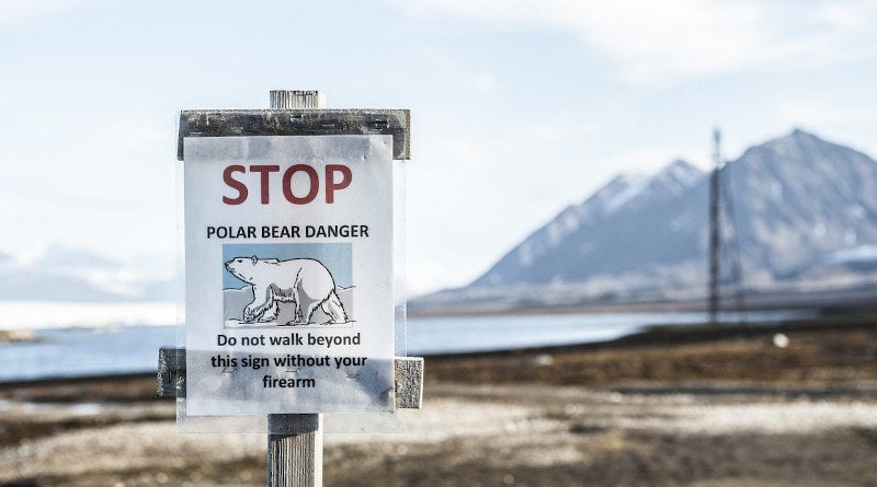 eisbaer warnung spitzbergen