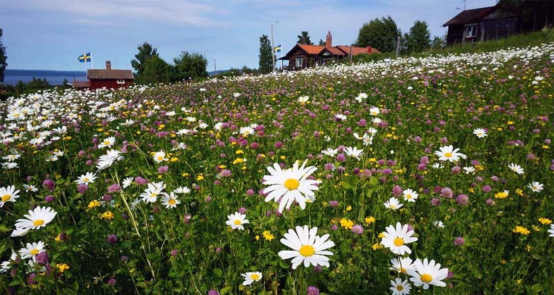 Reiseziele Schweden