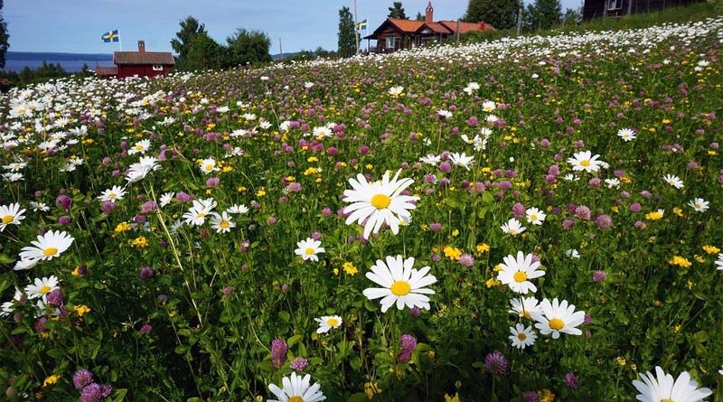 Tällberg Reiseziele Schweden