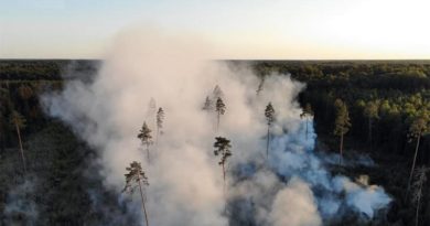 Waldbrand Pärnu