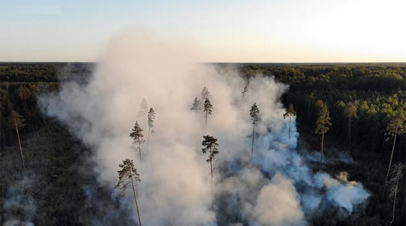 Waldbrand Pärnu