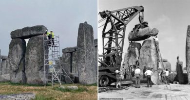 Stonehenge Renovierung