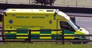 Ambulant Wales Militär