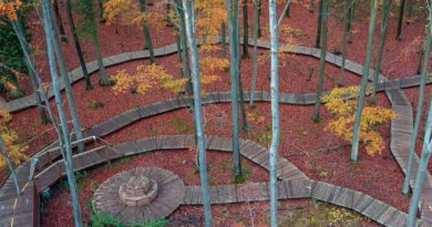 Rønnede Camp Adventure Park