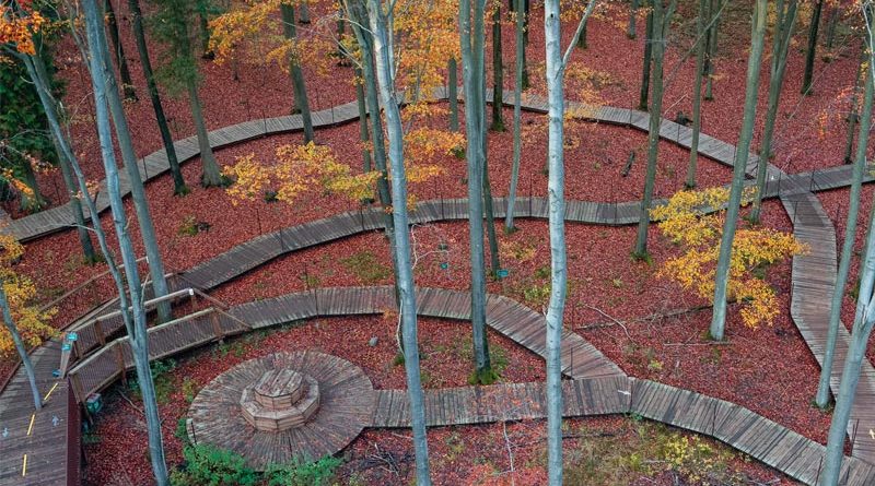 Rønnede Camp Adventure Park