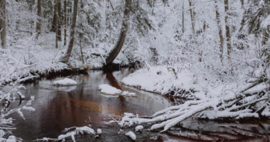 lettland winter