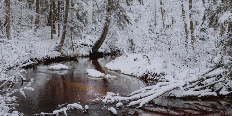 lettland winter