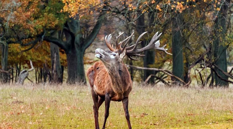 Herbst Wetter Dänemark