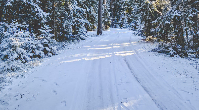 lettland ski winter