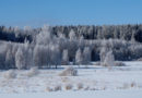 Estland: So viel Schnee gab es zum St. Georgstag ewig nicht