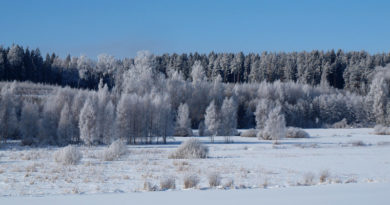 Estland: So viel Schnee gab es zum St. Georgstag ewig nicht