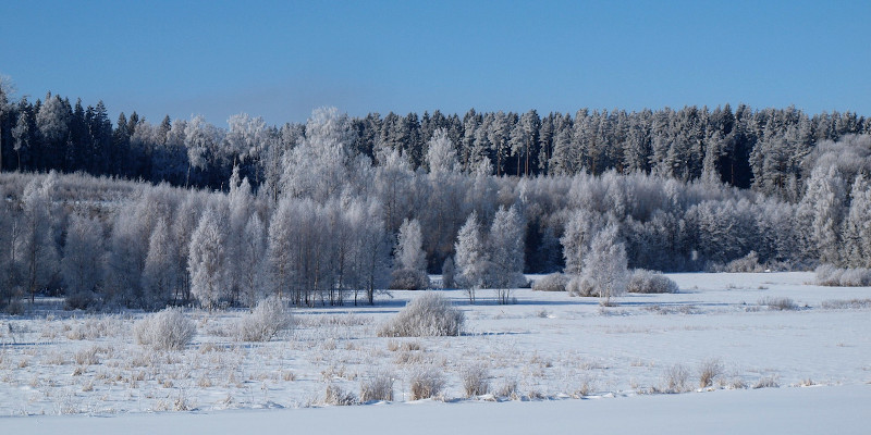 Estland: So viel Schnee gab es zum St. Georgstag ewig nicht