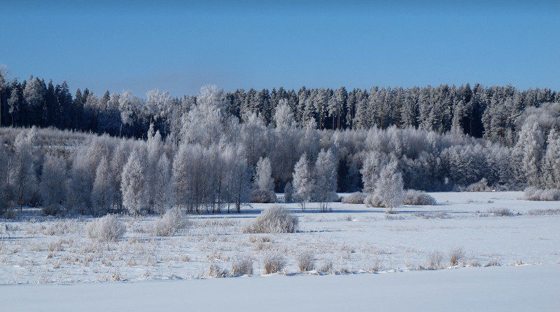 estland neuschnee