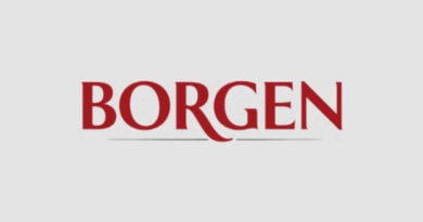 serie borgen