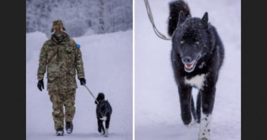 hund socks estland