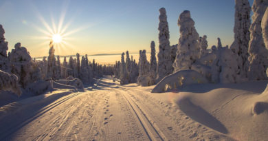 finnland energie