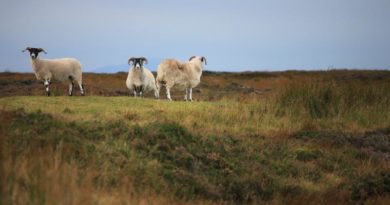 Wester Ross Wandern Highlands