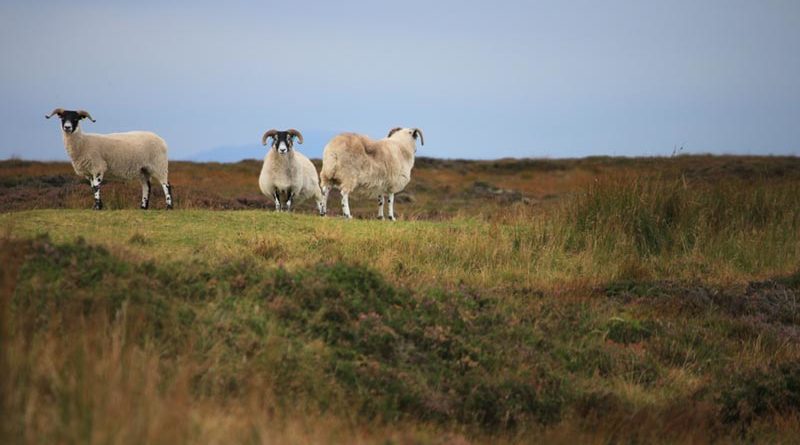 Wester Ross Wandern Highlands