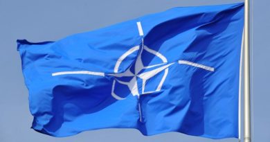 Nato Schweden