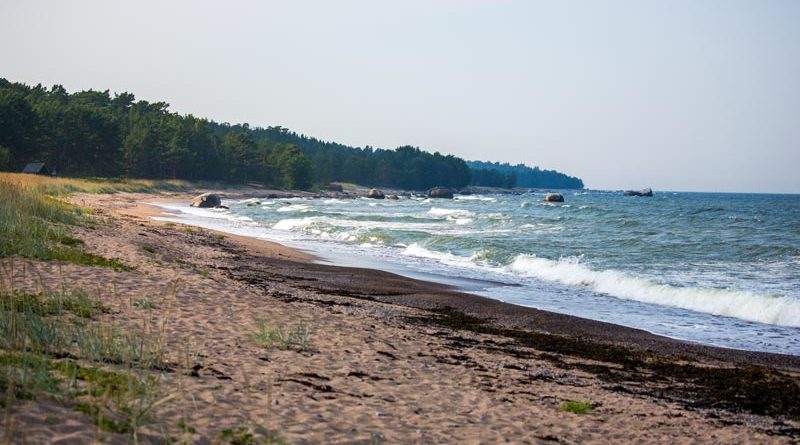 Naissaar Insel