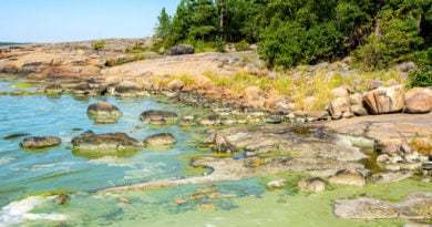 blaualgen finnland badeverbot