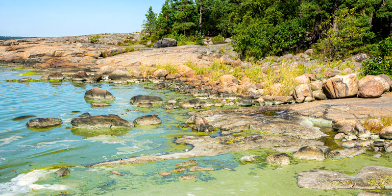 blaualgen finnland badeverbot