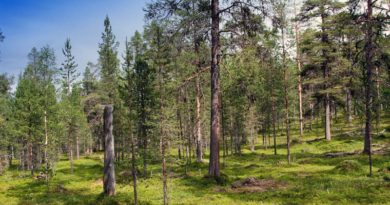 Inari Naturschutz Finnland