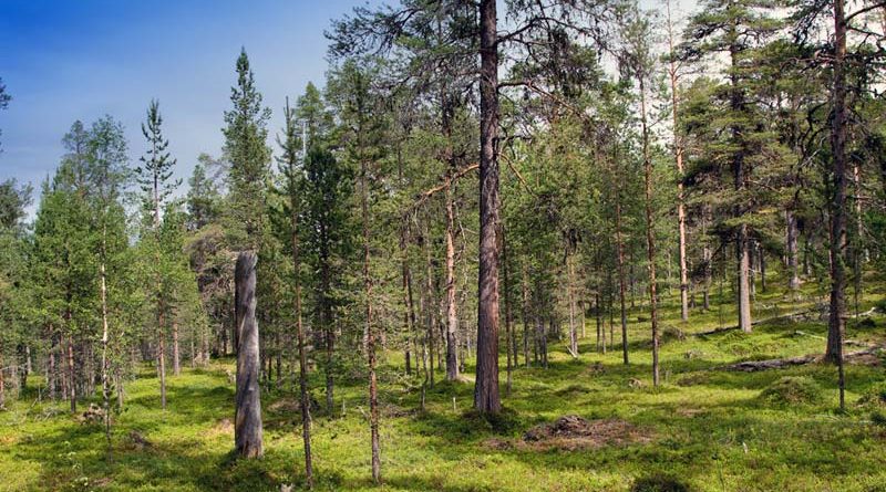 Inari Naturschutz Finnland