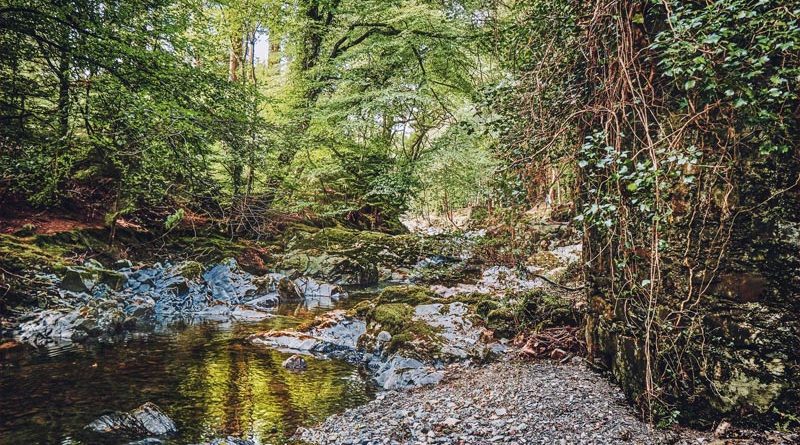 Mourne Park Wanderung Nordirland