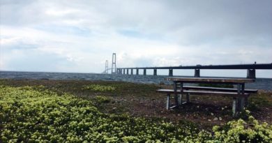 Dänemark: Fahrt über die Großer Belt-Brücke – sehr beeindruckend, aber nicht günstig (Video)
